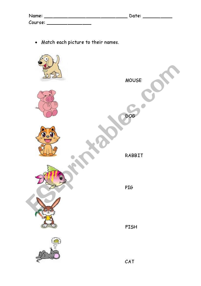 animals worksheet