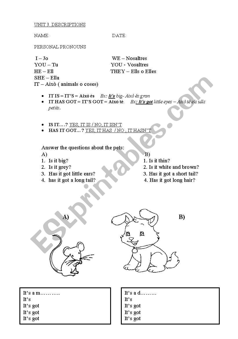 descriptions worksheet