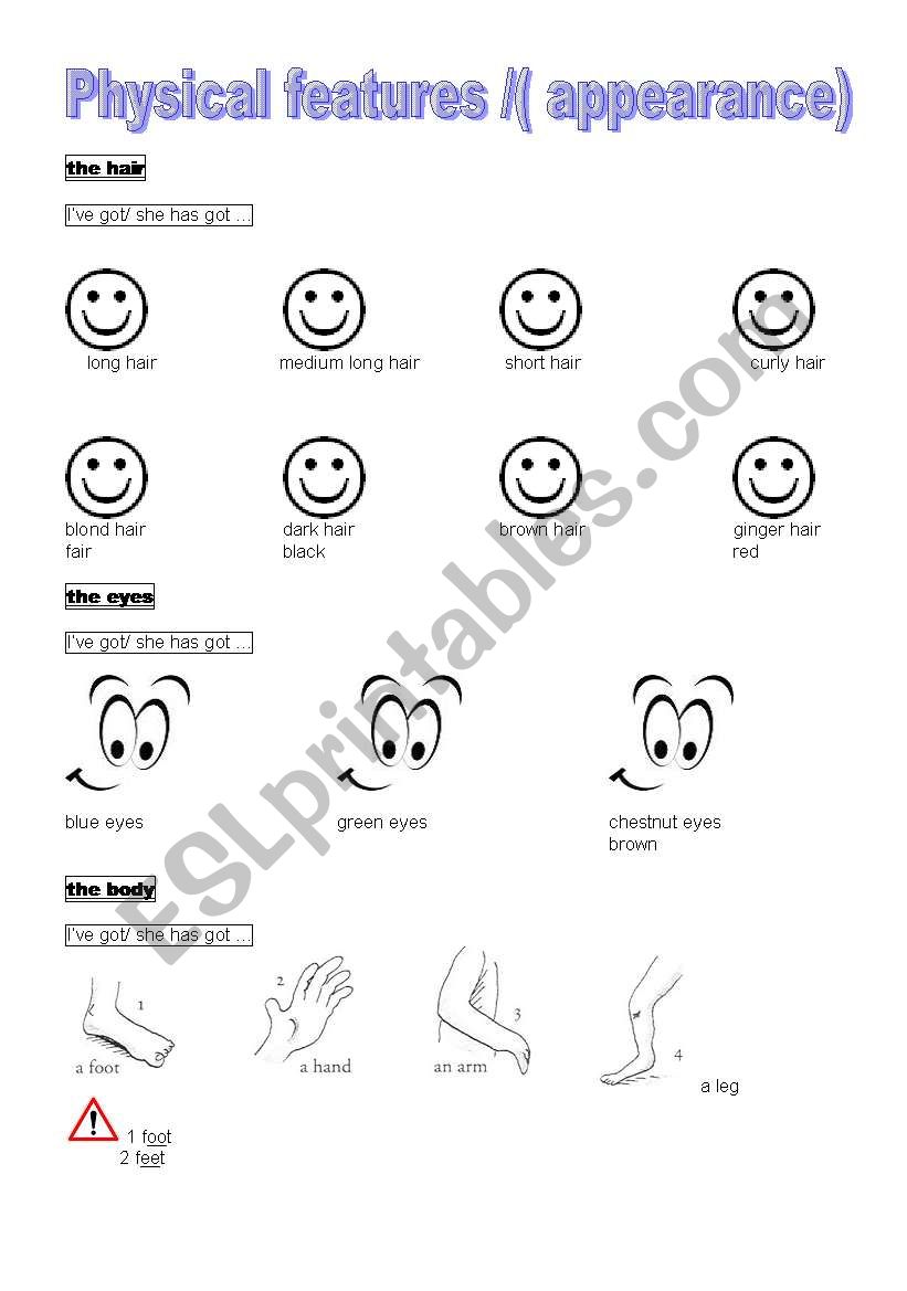 physical features worksheet