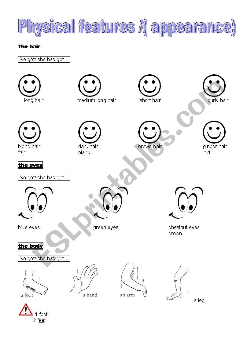 physical features - ESL worksheet by daranetles