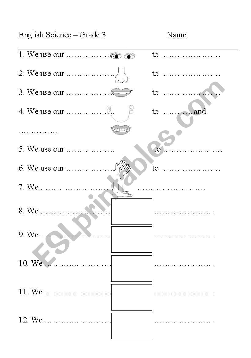 Parts of Body worksheet