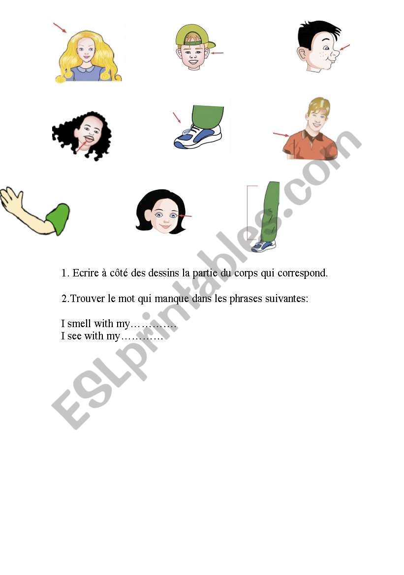 test body parts worksheet