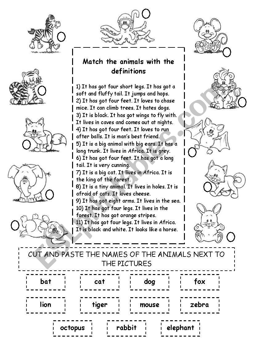 Animal Description worksheet