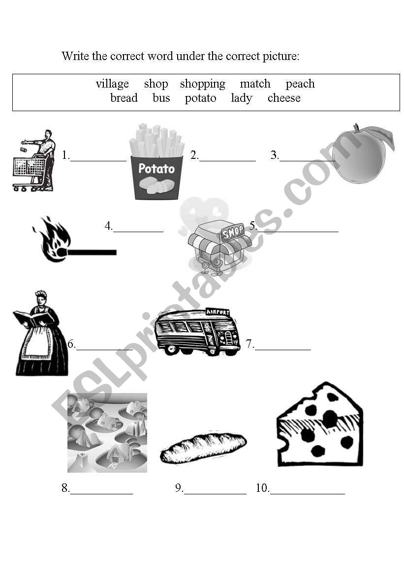 vocabulary juniors2 worksheet