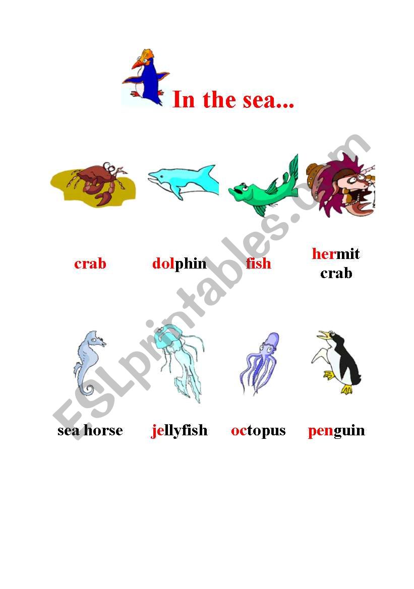In the sea worksheet