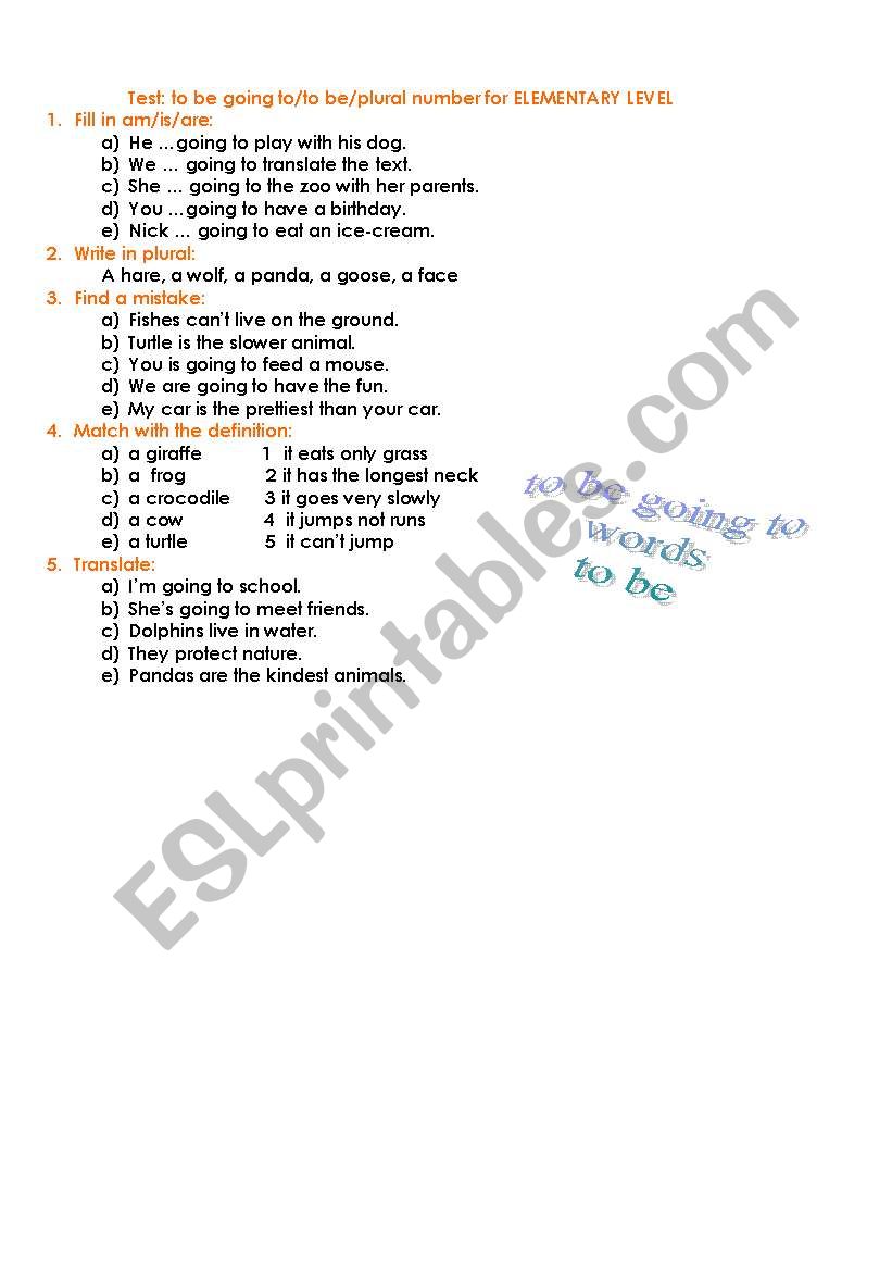 Test  for elementary level  worksheet