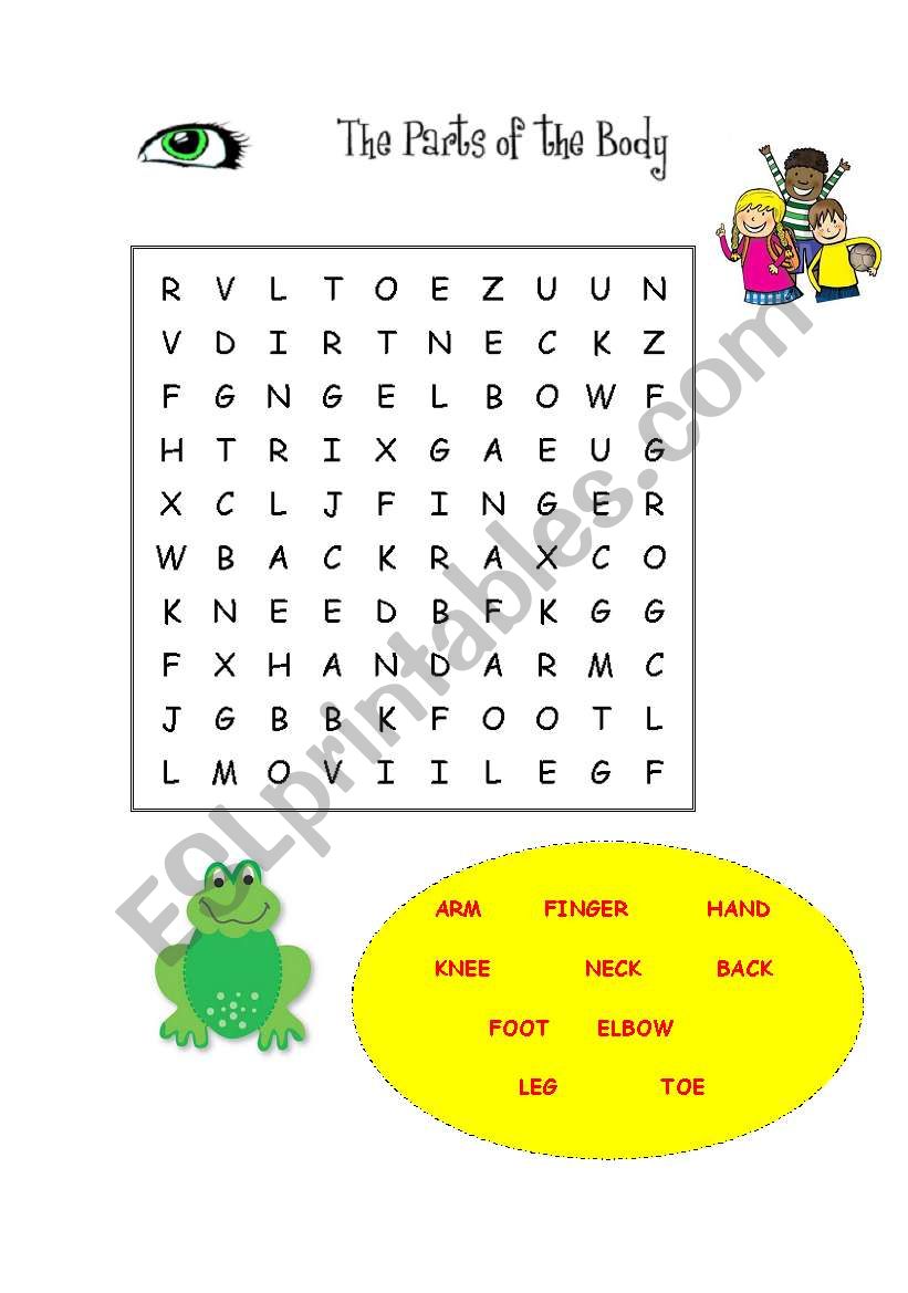 the parts of the body worksheet