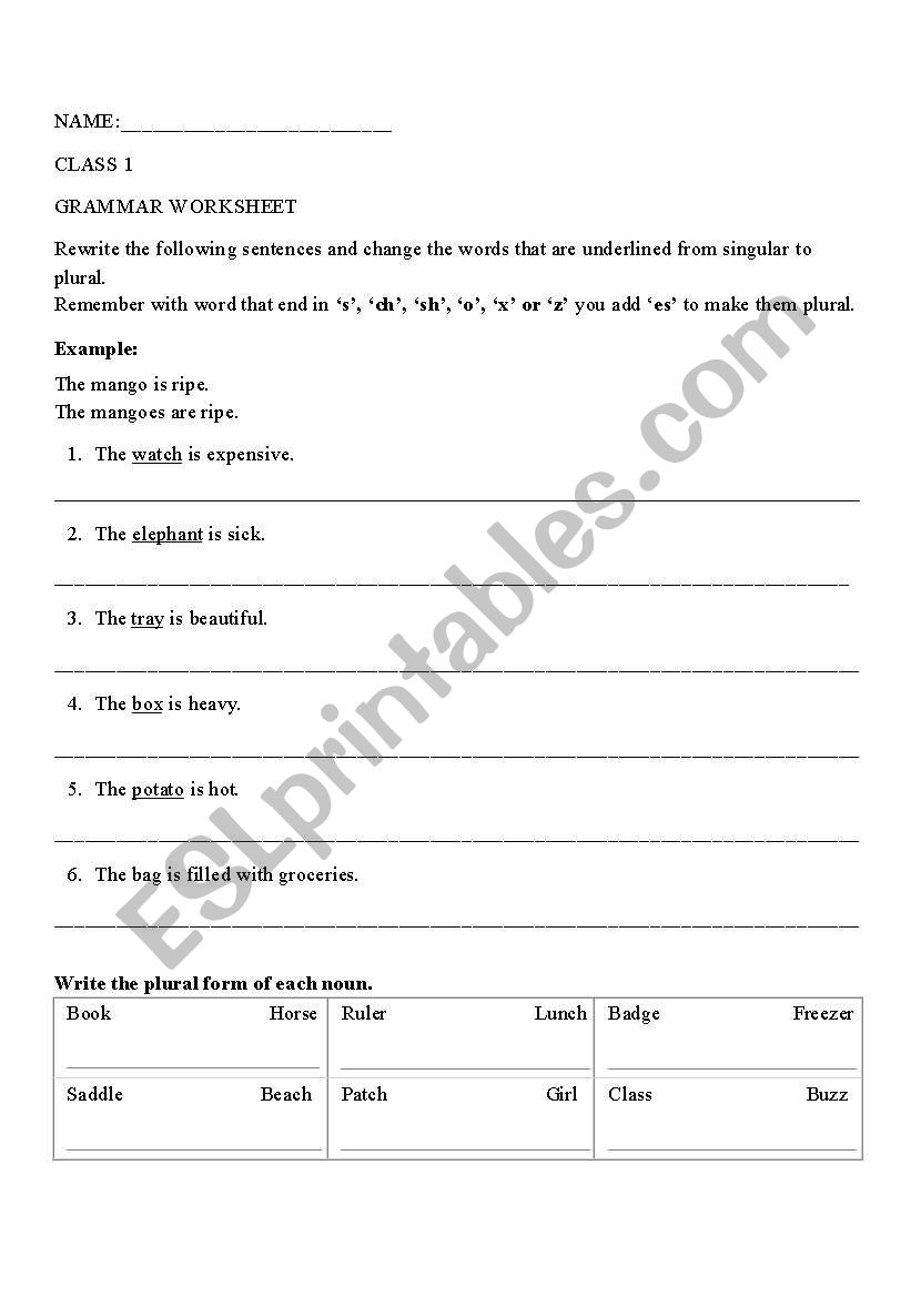 Singular and Plutal Worksheet worksheet