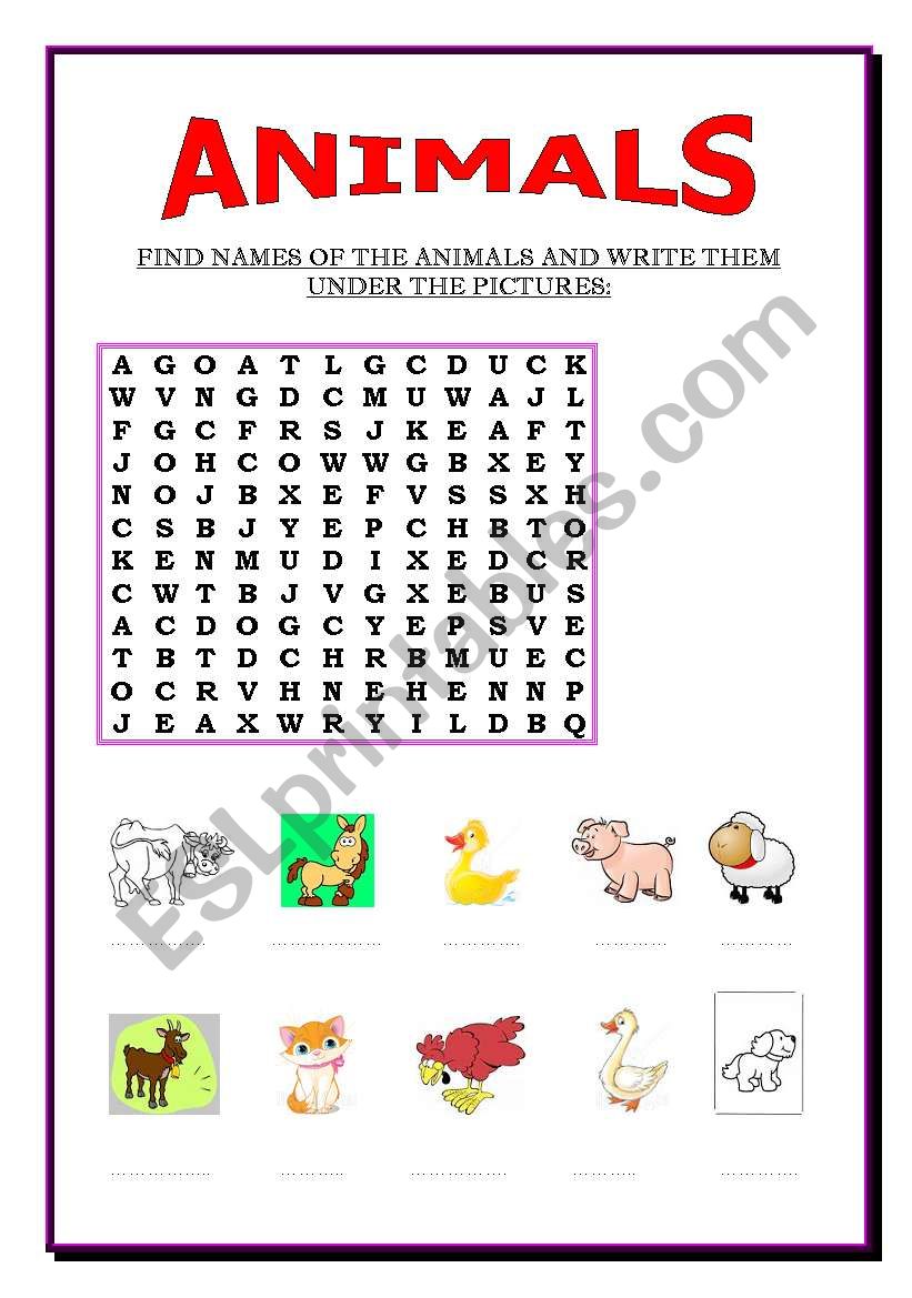 ANIMALS worksheet