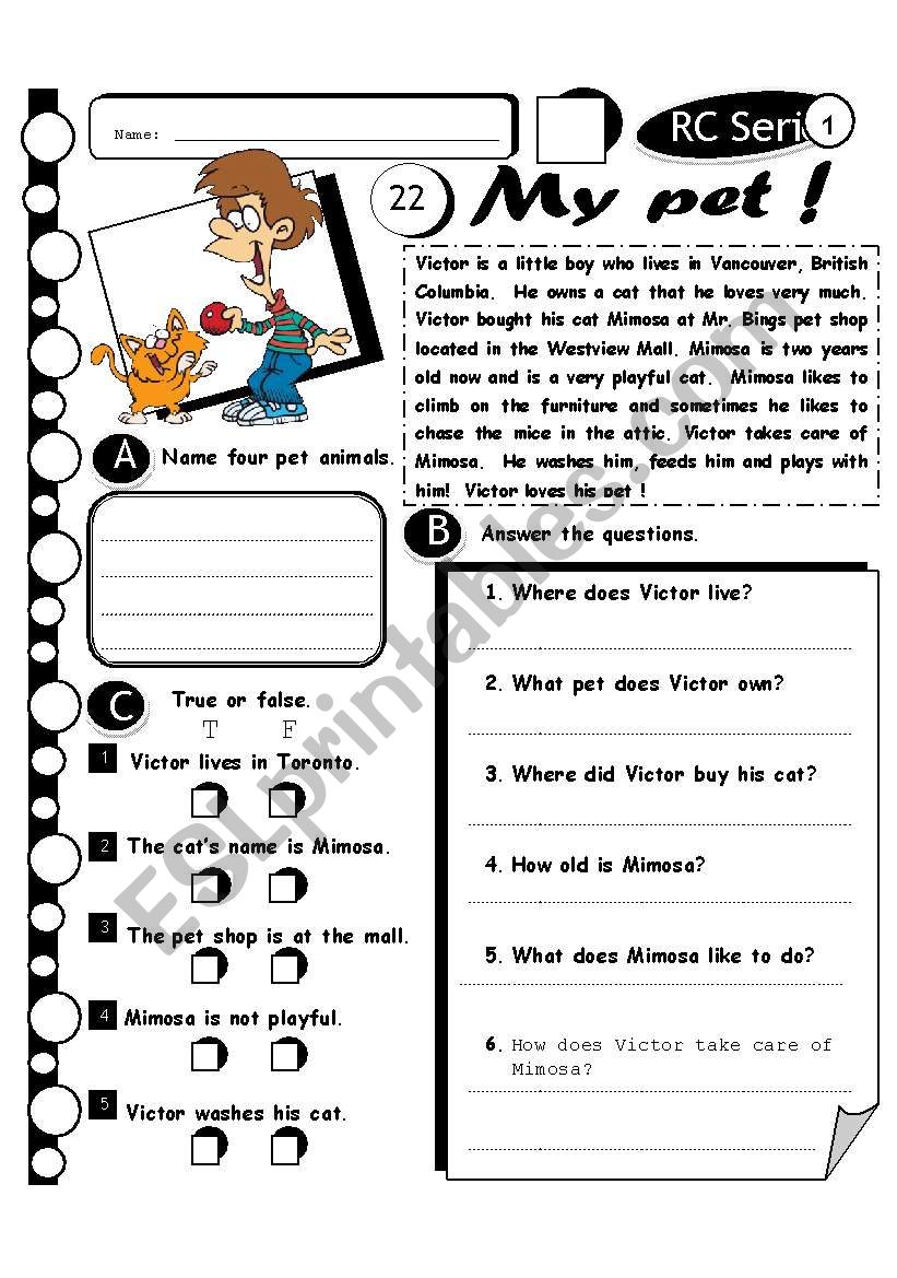 RC Series Level 1_21 My Pet (Fully Editable + Answer Key)