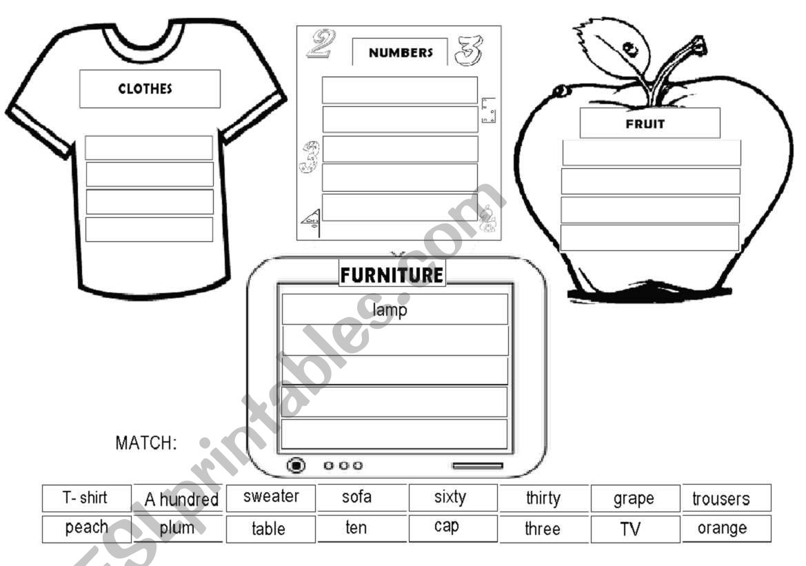 classify the words  worksheet