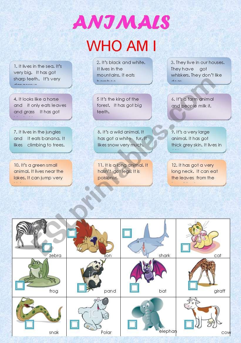 animals worksheet