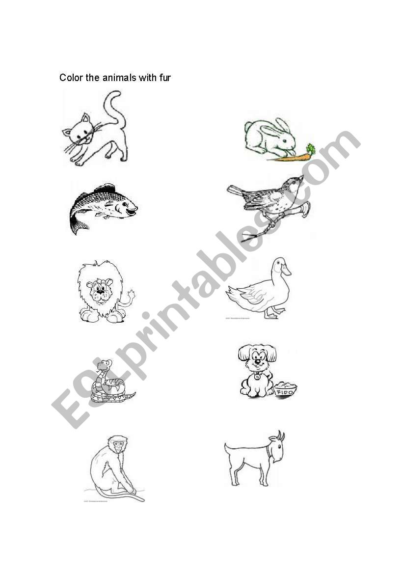 Animals with hair or fur worksheet