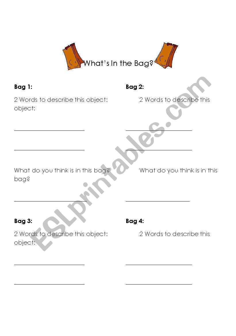 Whats in the Bag Senses Activity