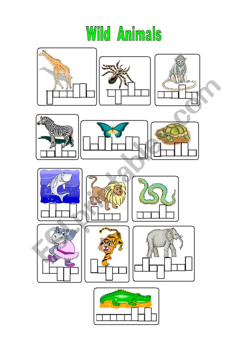 Wild animals worksheet