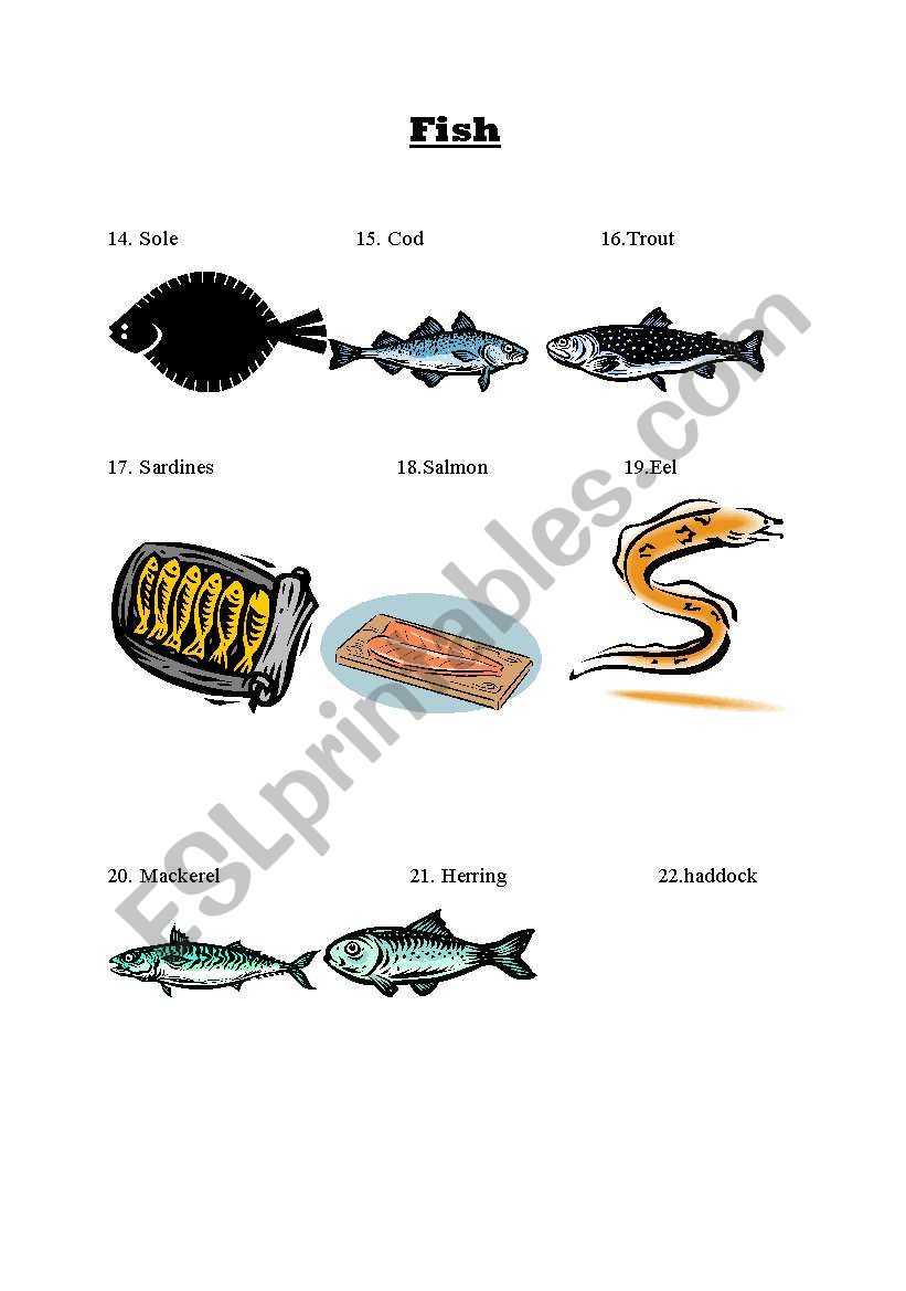 Fish worksheet