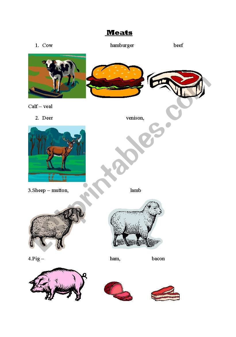animals and meats worksheet