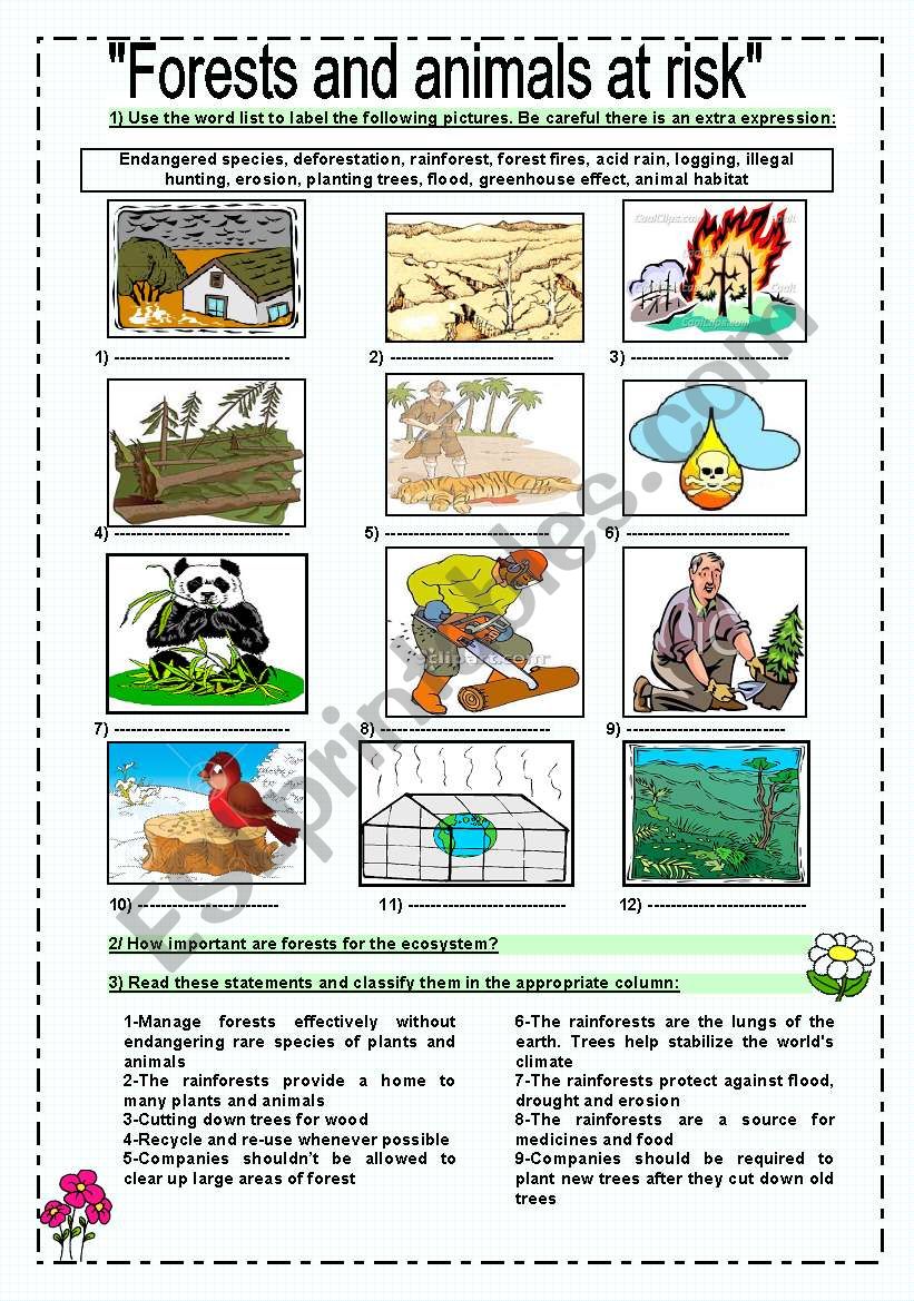 forests and animals at risk  worksheet