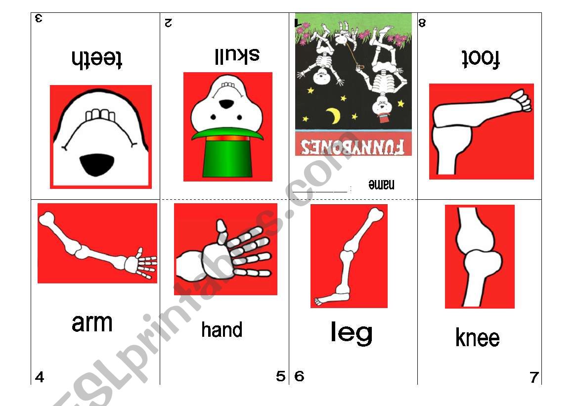 Minibook Funnybones worksheet