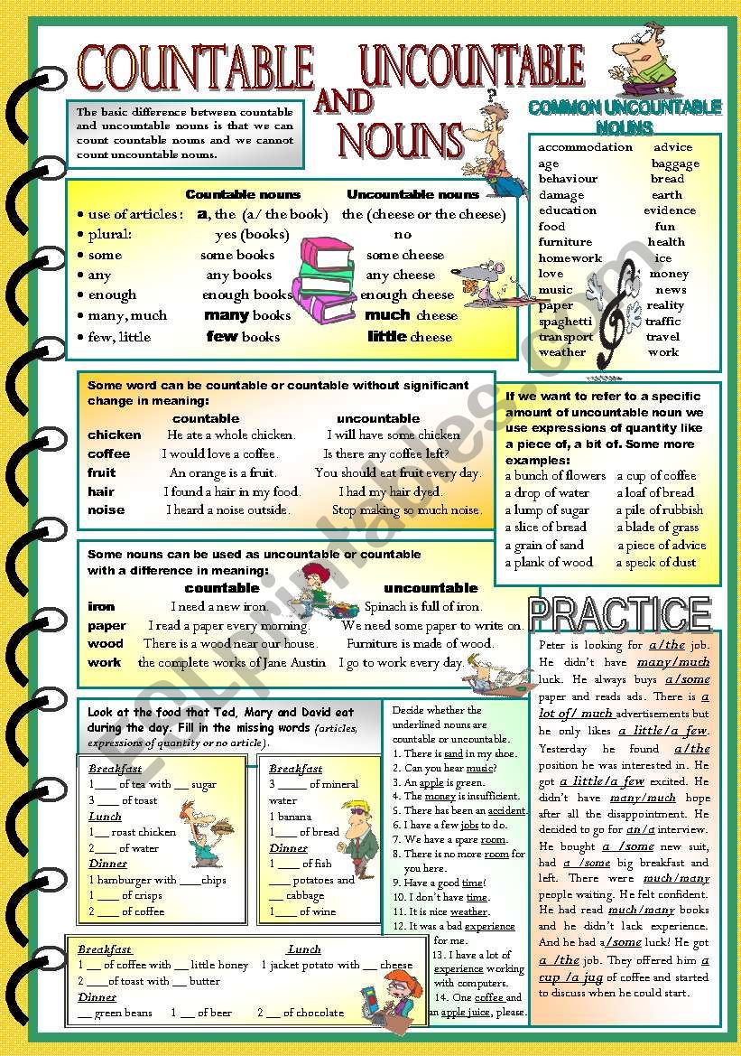Countable and uncountable nouns 