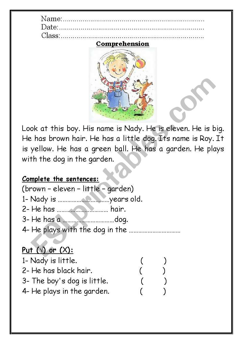 Comprejension worksheet