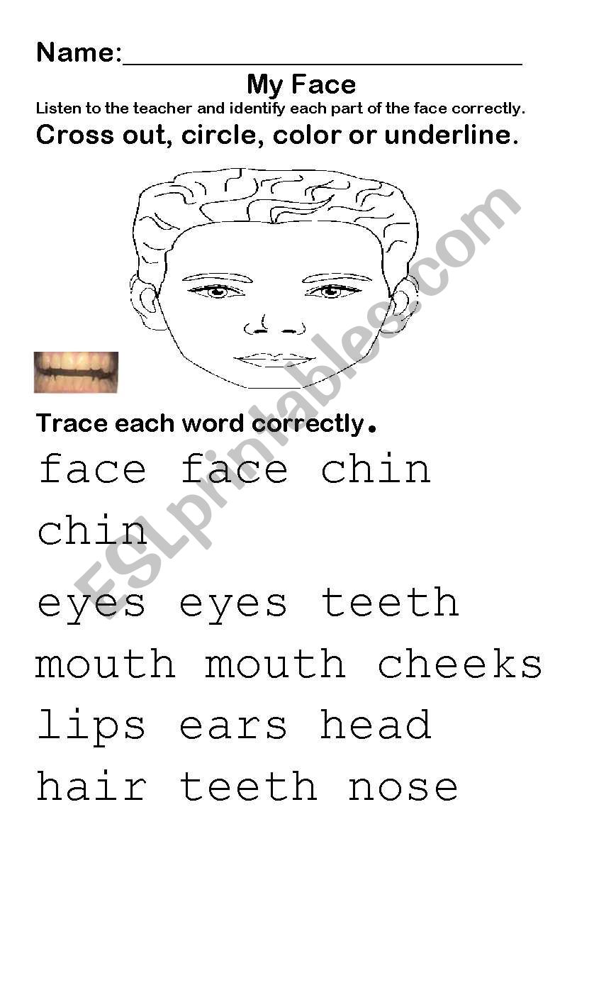 My face worksheet