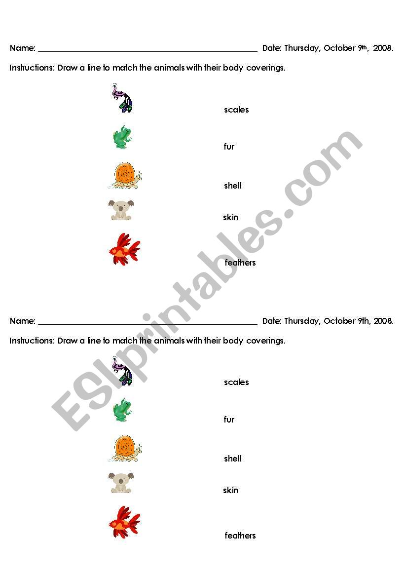 Body Coverings worksheet