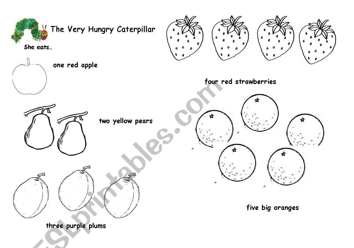 The very hungry caterpillar worksheet