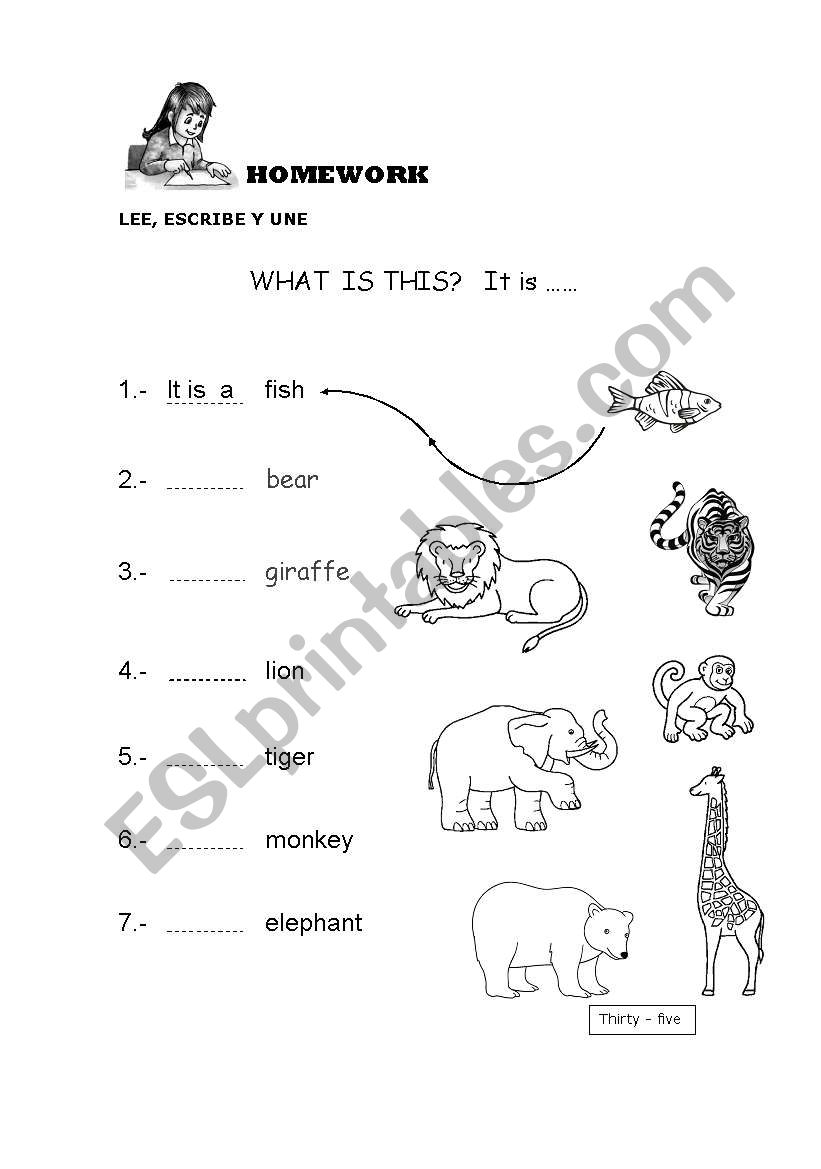 ITS  A ANIMAL ... worksheet