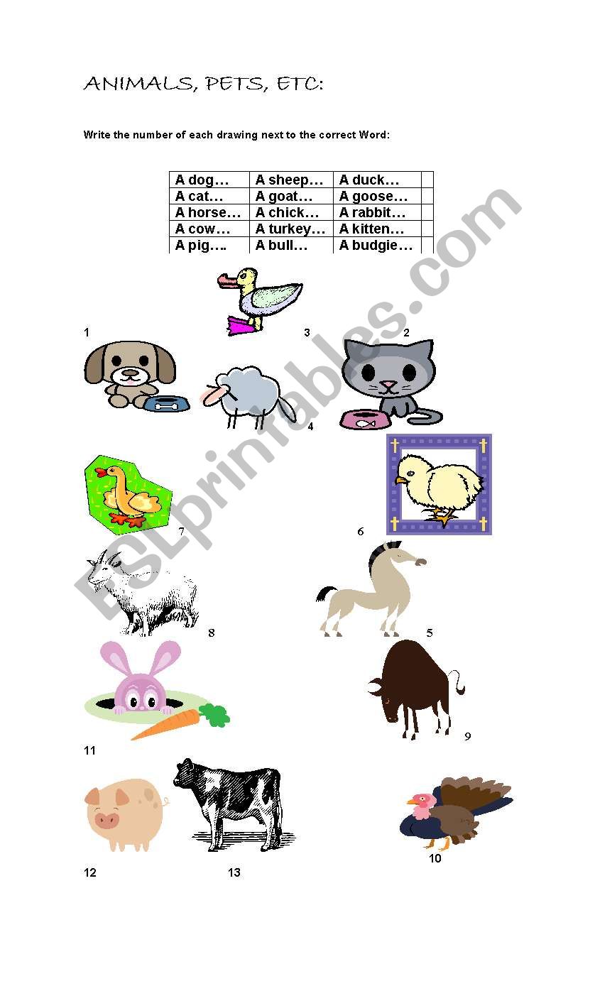 ANIMALS, PETS AND ANOTHERS  worksheet