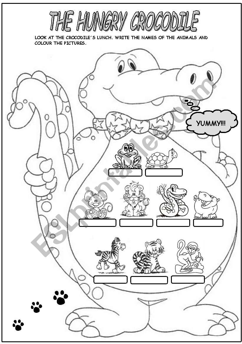 THE HUNGRY CROCODILE worksheet