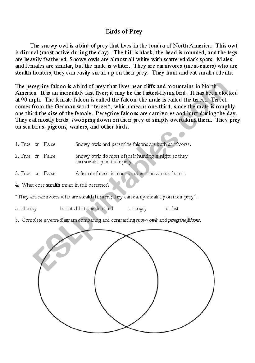 Nonfiction Comprehension Activity