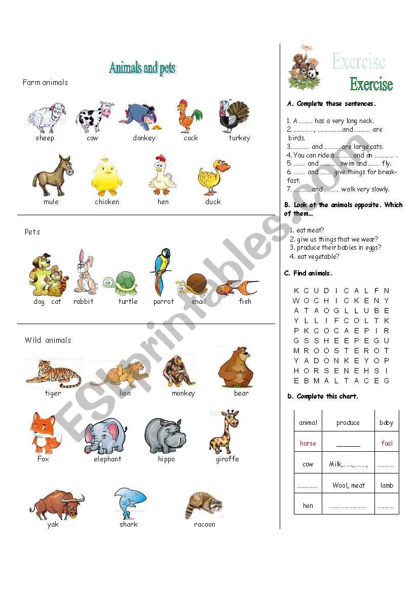 animals and pets worksheet