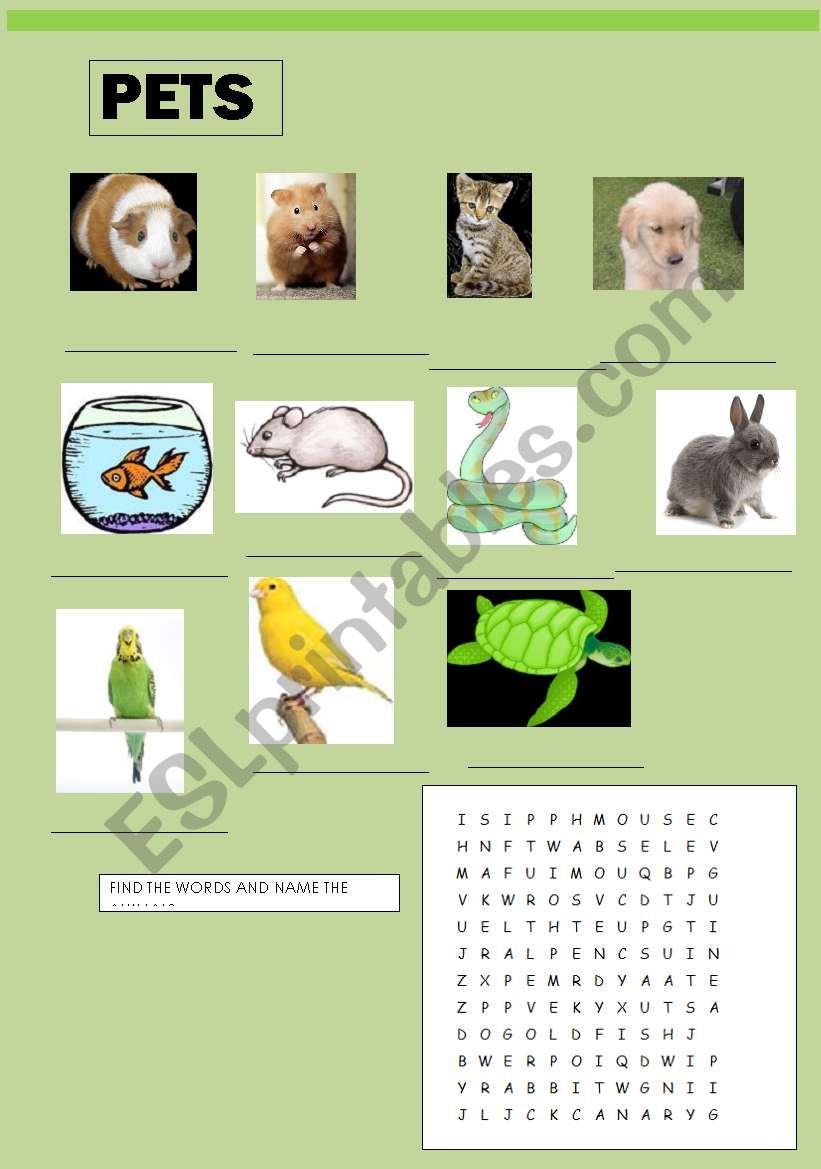 PETS worksheet