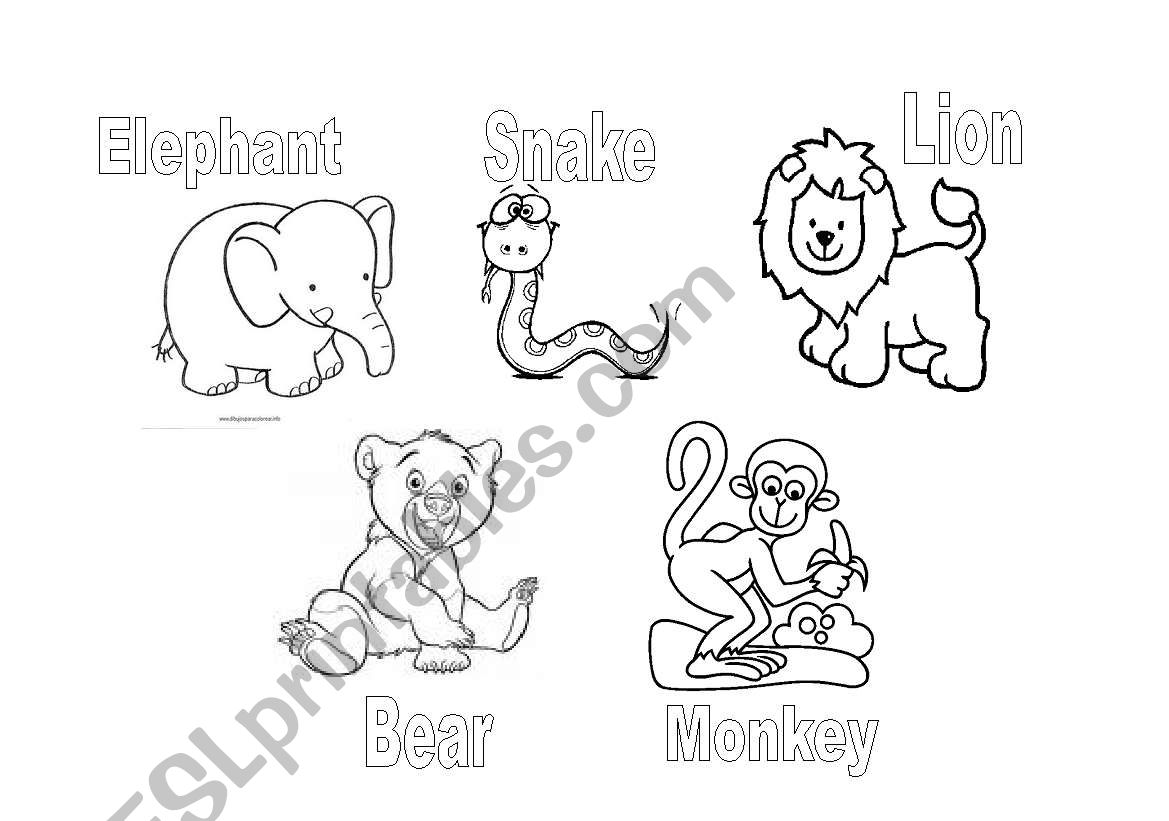 jungle animals worksheet