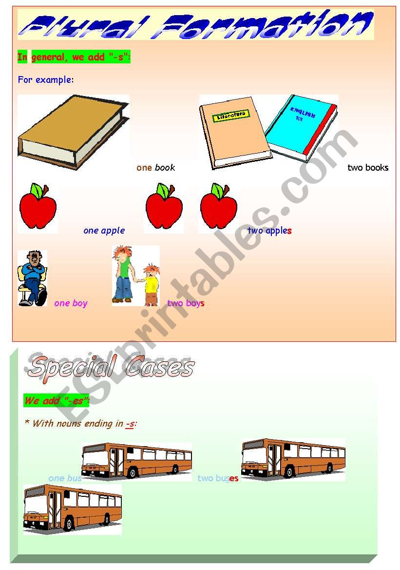 plural formation worksheet