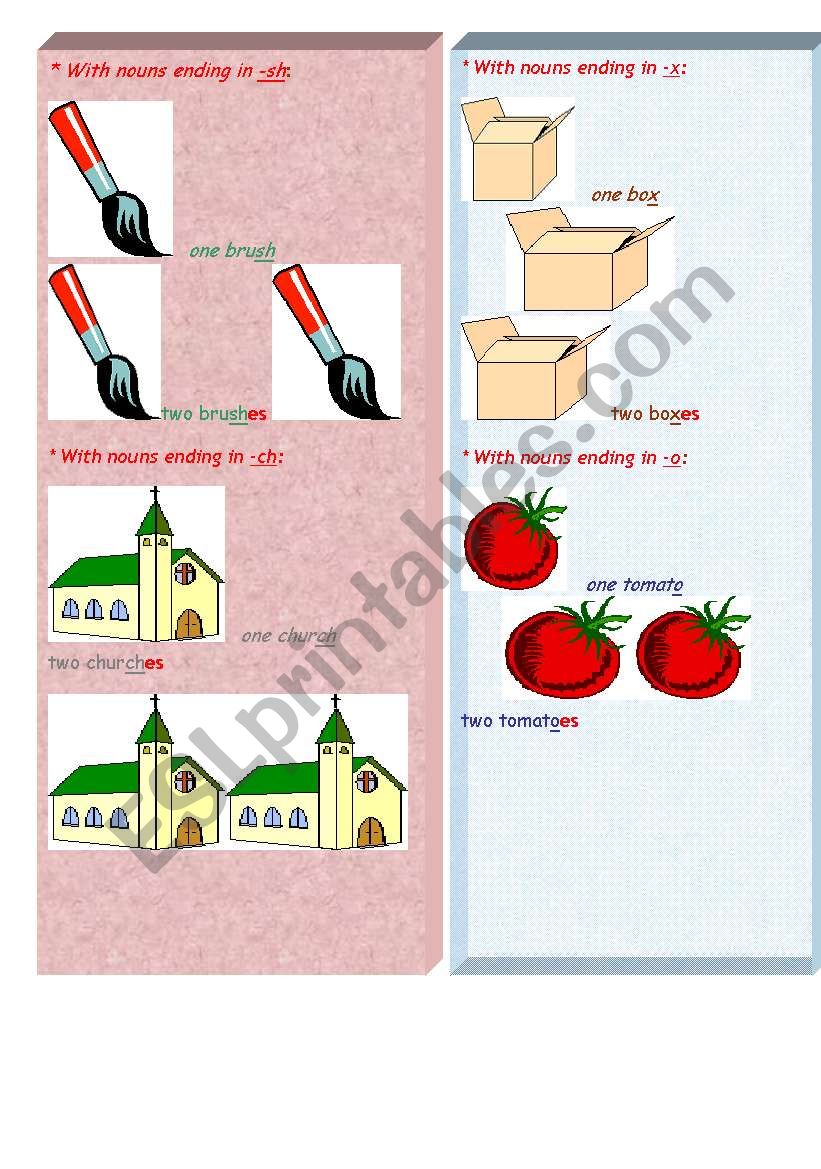 plural( to follow) worksheet