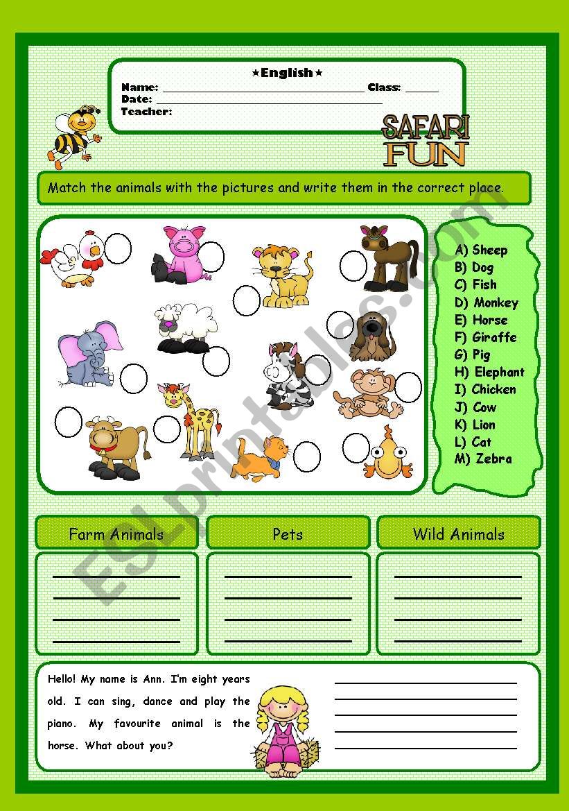 Animals worksheet