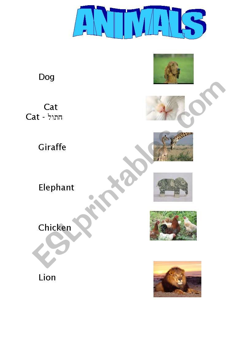 Animals worksheet