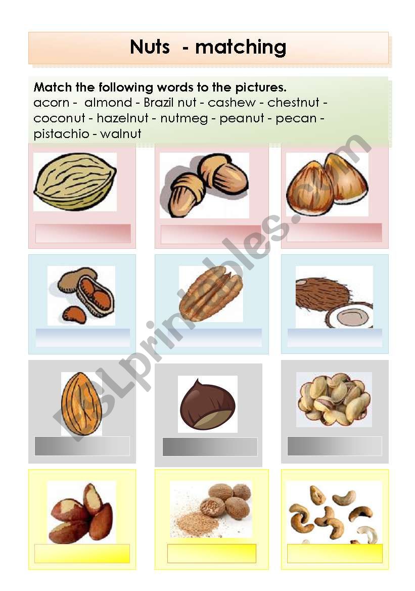 Nuts - flashcards and matching exercise