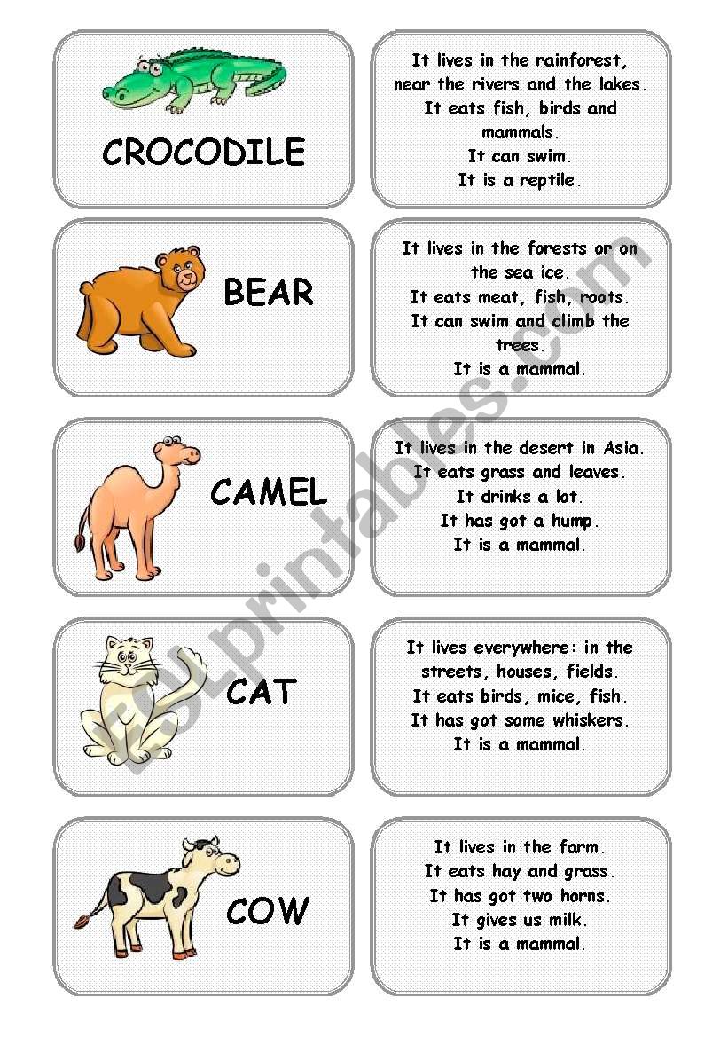 CLASSROOM DICTIONARY - SET 6/6: ANIMALS