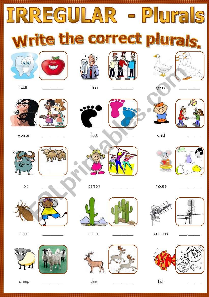 Irregular Plural Nouns Esl Worksheets