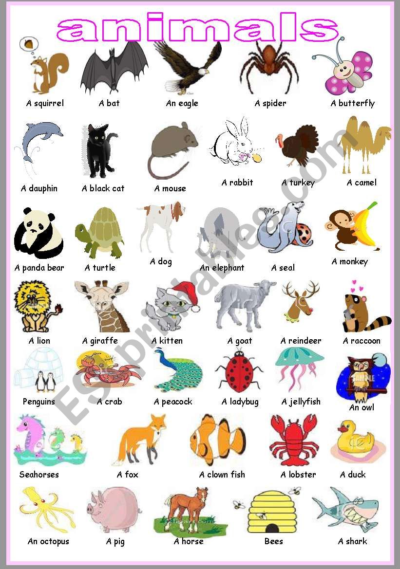 ANIMAL PICTIONARY worksheet