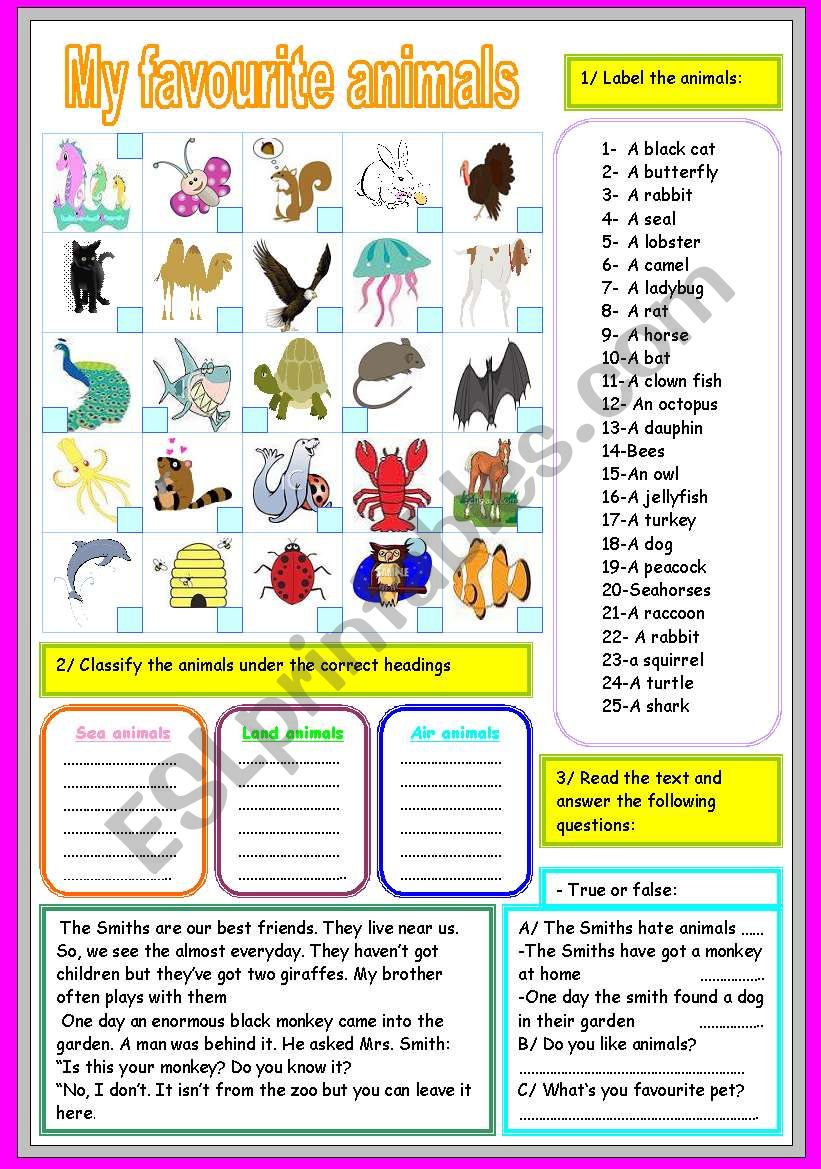 my favourite animals worksheet