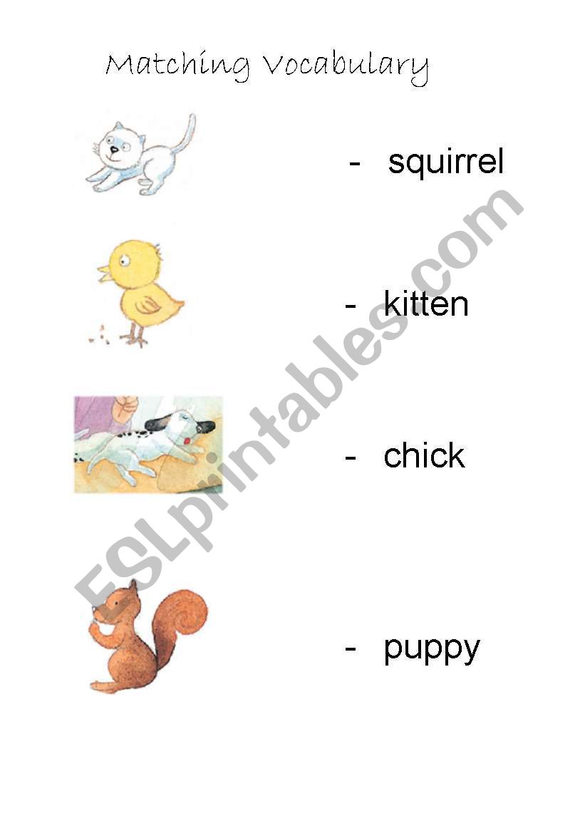 Matching worksheet for animal worksheet
