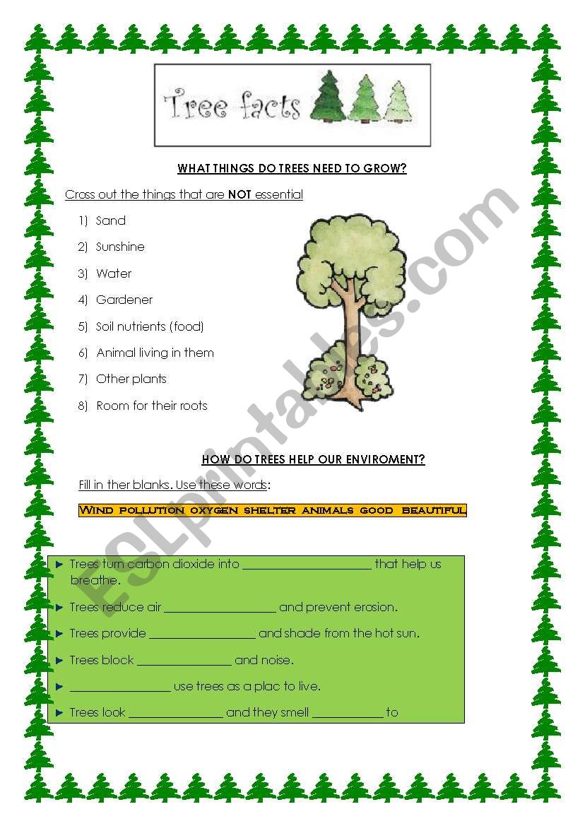 deforestation: why are trees important? 2