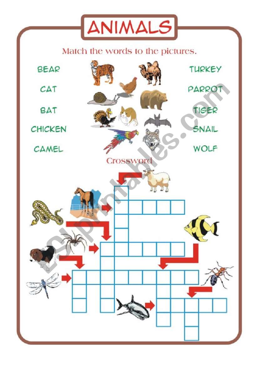 Animals worksheet