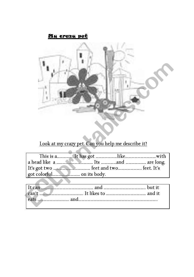 My crazy pet worksheet