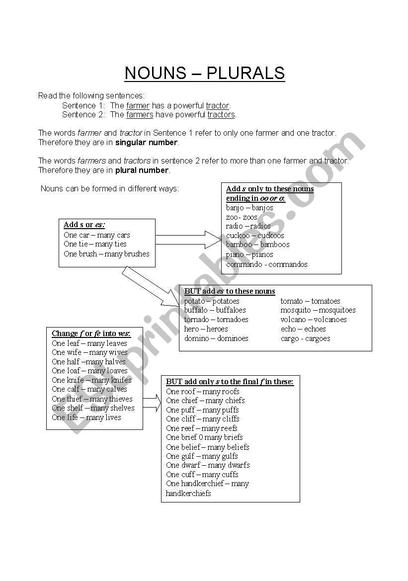 Plurals of Nouns worksheet