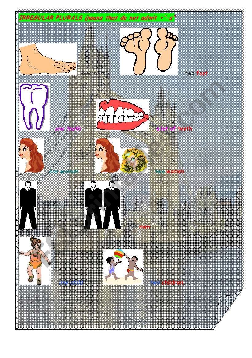 plural worksheet